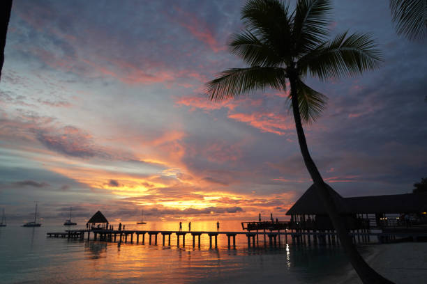 istock Rangiroa Atoll - Tuamotu islands - French Polynesia 1686118648