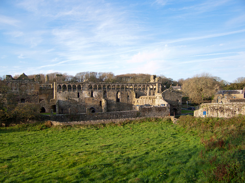 Winter afternoon sunshine on the famous ruins of the medieval Bishops Palace in the UK's smallest city of St Davids, Pembrokeshire, Wales, UK
