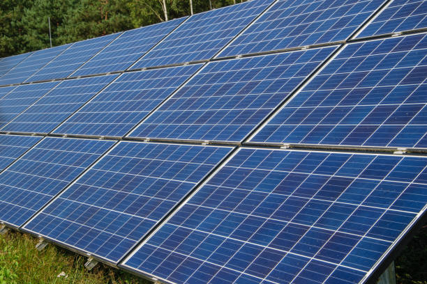 istock Photovoltaics solar panels mounted on the ground 1686131351