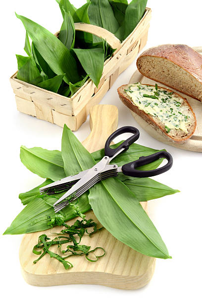 herb butter wild garlic (Allium ursinum) on slice of bread cutting wild garlic leaves for herb butter on slice of bread at wooden cutting board. in background a basket on white isolated background zigeunerlauch stock pictures, royalty-free photos & images