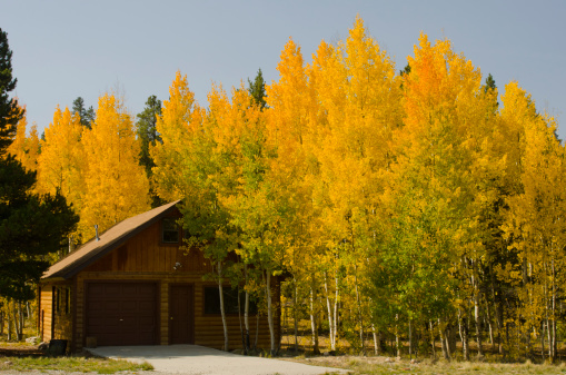 A small mountain cabin is surrounded by the colors of Autumn, with aspen trees turning gold.