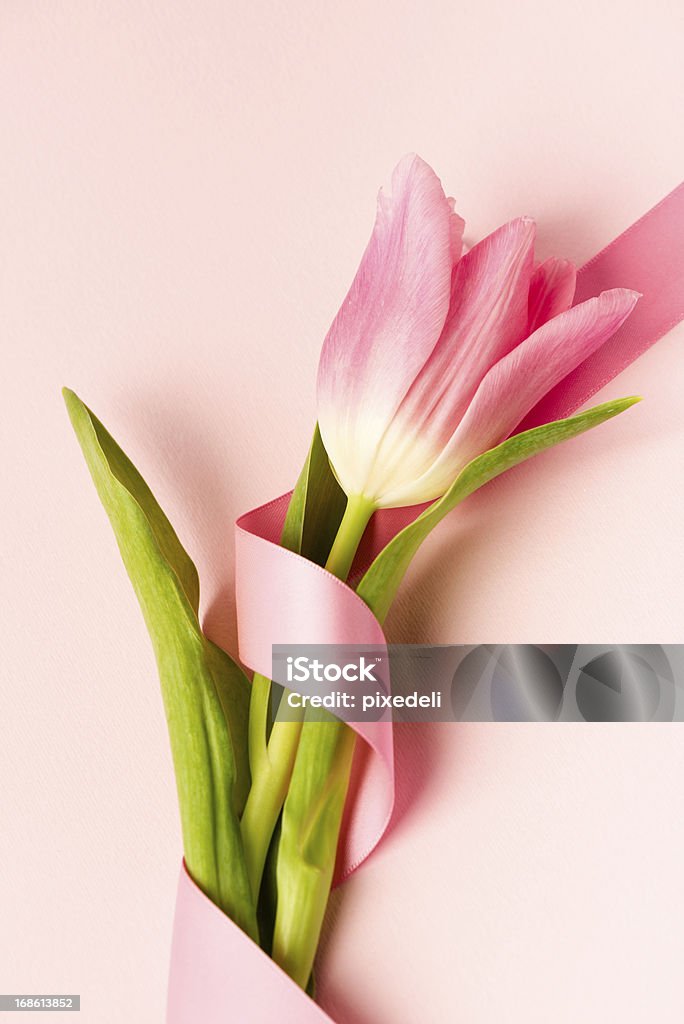 Розовые ленты и тюльпан - Стоковые фото Атласная ткань роялти-фри