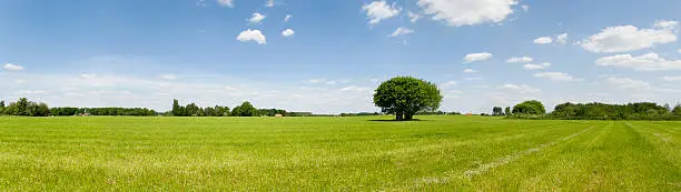 Photo of Summer Scenic Panorama