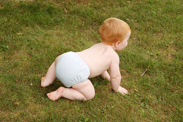 istock Cute Baby in Cloth 168614307