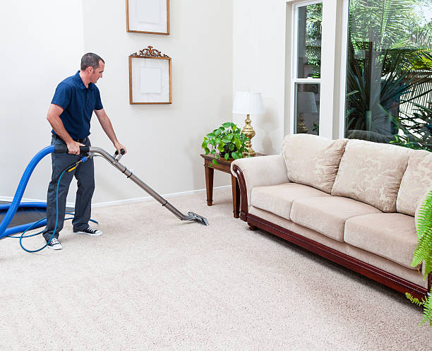 limpieza de alfombras de vapor - carpet caucasian domestic room home interior fotografías e imágenes de stock