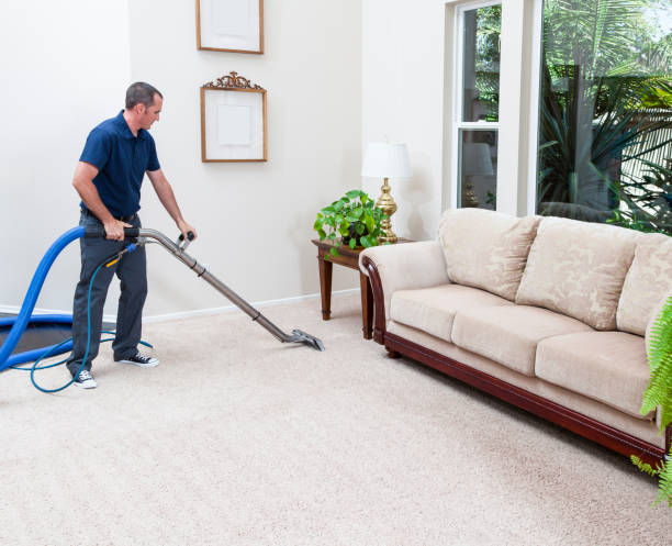 vapore pulizia dei tappeti - carpet caucasian domestic room home interior foto e immagini stock