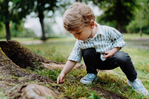 Cute little boy looking for, observing bugs in public park.