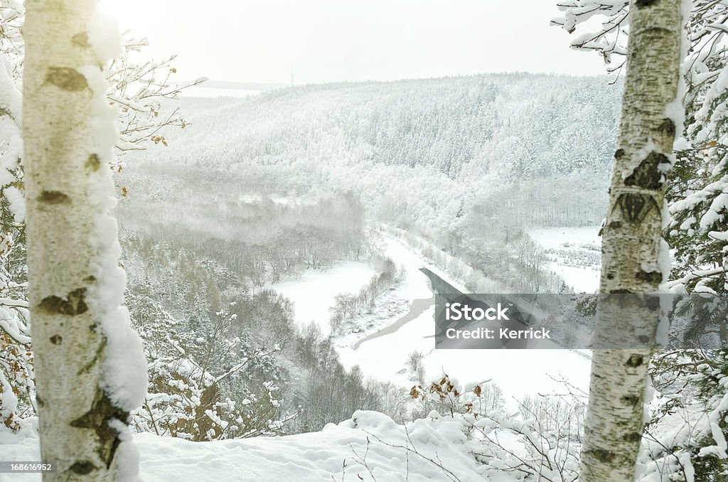 Depuis le sommet de la montagne en hiver - Photo de Allemagne libre de droits