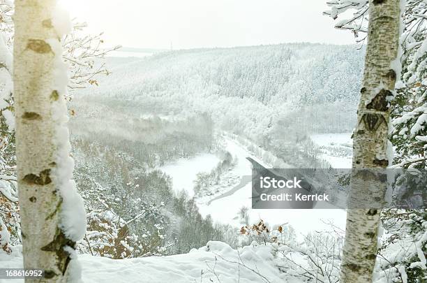 Photo libre de droit de Depuis Le Sommet De La Montagne En Hiver banque d'images et plus d'images libres de droit de Allemagne - Allemagne, Arbre, Arbre à feuilles caduques