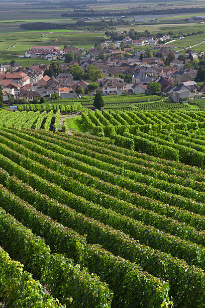 istock Burgundy region 168617127