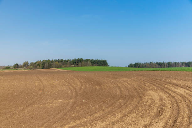 istock the plowed soil during preparation for sowing agricultural plants 1686179146