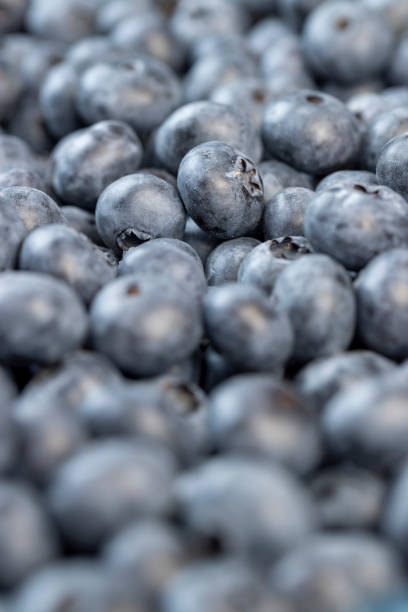 istock sweet and delicious blueberries during storage before sale 1686179736
