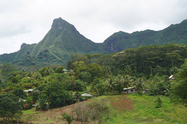 istock Moorea island - French Polynesia 1686183552