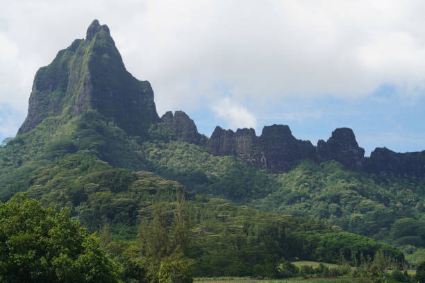 istock Moorea island - French Polynesia 1686184072