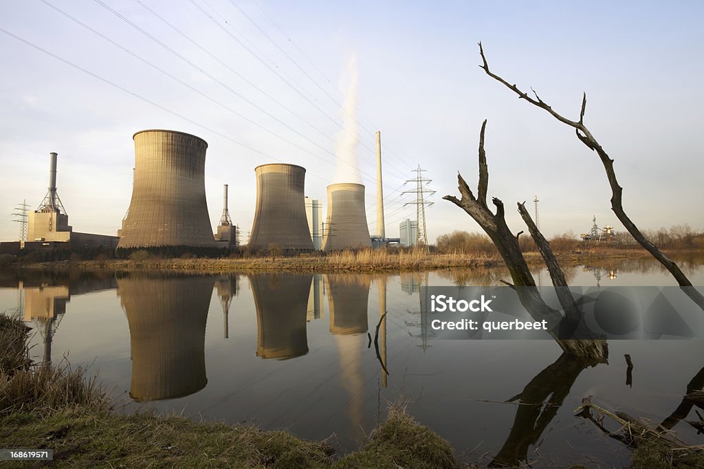 Kraftwerk mit toten Bäumen - Lizenzfrei Kohle Stock-Foto