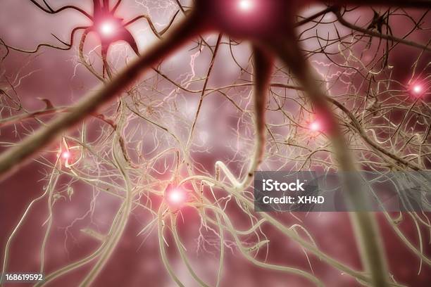 Célula Nervosa 3d Ilustração Biomédica - Fotografias de stock e mais imagens de Célula nervosa - Célula nervosa, Sistema Nervoso Humano, Célula