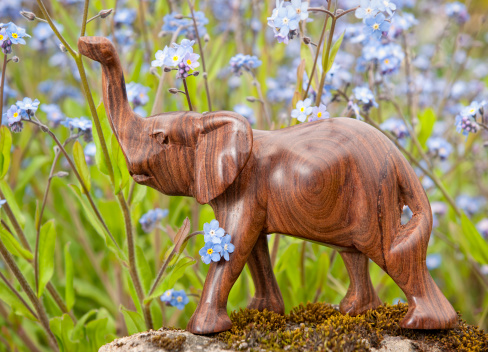 A small, handmade wooden elephant figurine among Forget Me Not flowers.