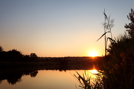 Summer sunset.