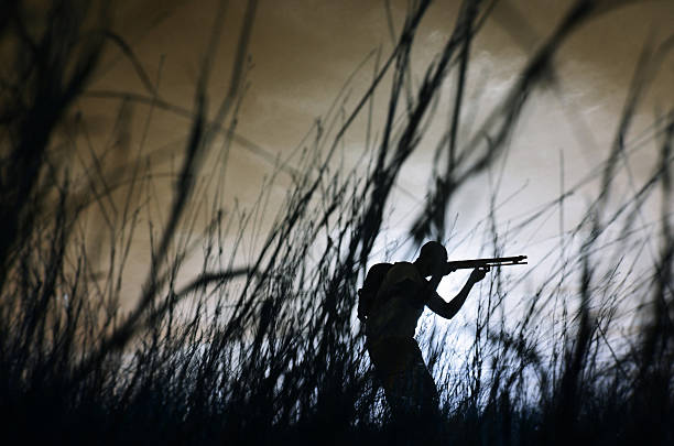 hunter with shotgun hunter with shotgun rifle hidden in bushes guerrilla warfare photos stock pictures, royalty-free photos & images