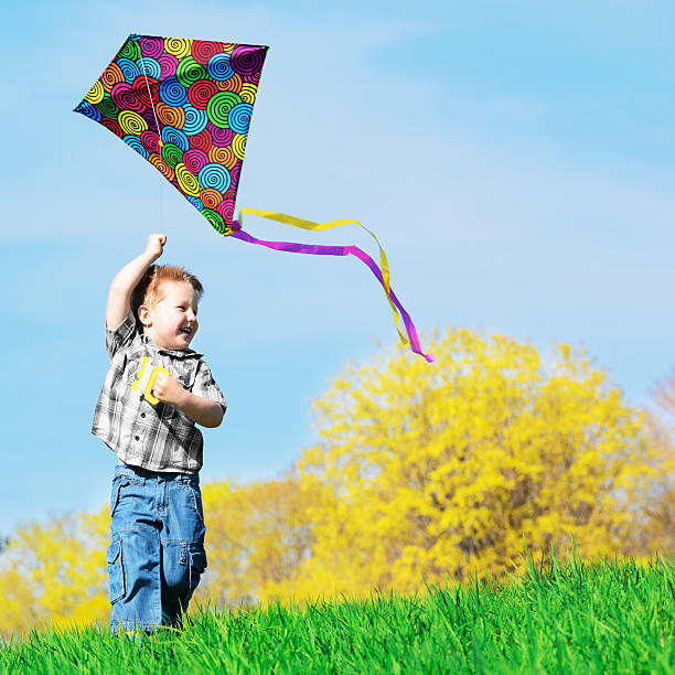 istock Little boy flying a colorful kite outside in green grass 168620714