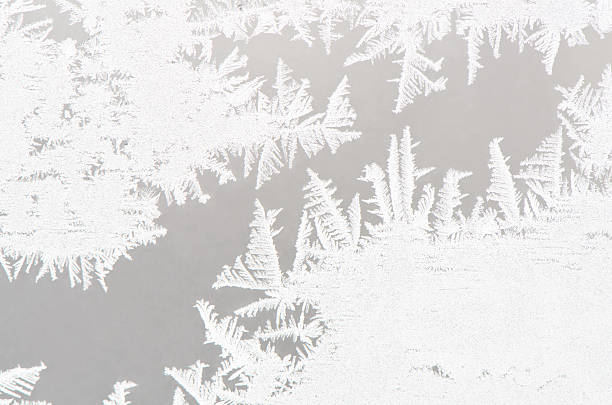 flor fundo branco ice - frosted glass window frost ice imagens e fotografias de stock