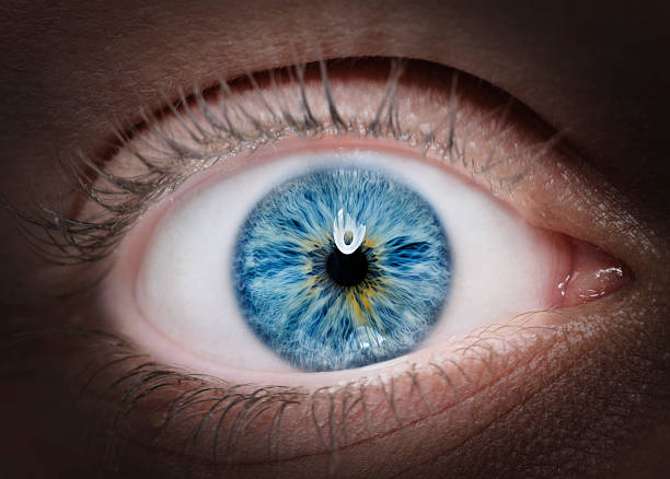 intensa olho azul - close up of iris imagens e fotografias de stock