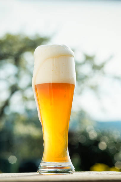 glas weizenbier in einem biergarden hefeweizen wheatgrass - weizenbier stock-fotos und bilder