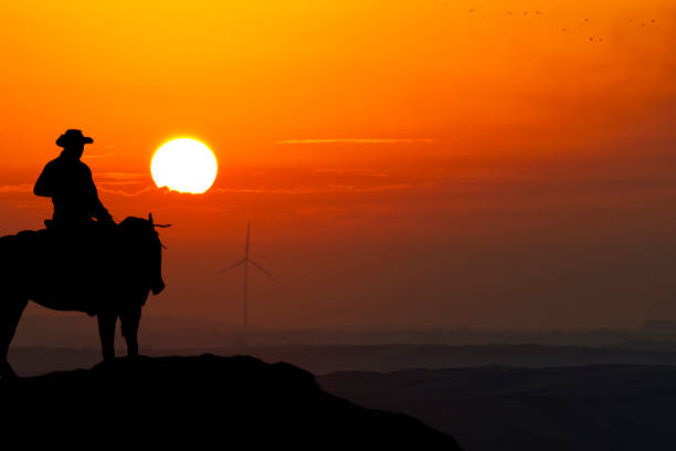 Contour, cowboy and horse in front of the setting sun. Visible noise.