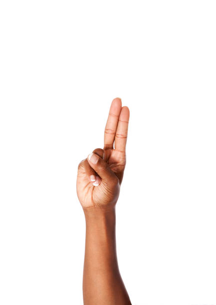 istock Letter U in American Sign Language 168623674