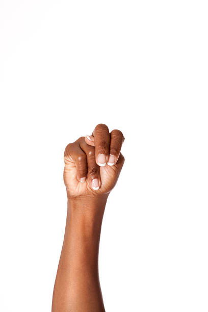 istock Letter N in American Sign Language 168623694