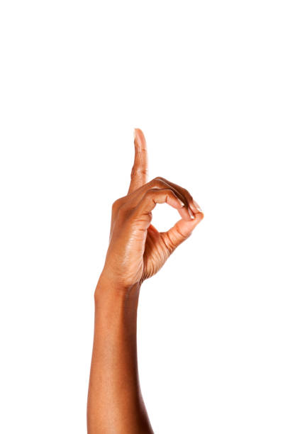 istock Letter D in American Sign Language 168623702