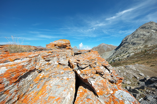 Image taken at 2400m altitude near the head of Pelvas 2929m.\nIn the center of the photo, in the background, Bric Bouchet 2997m