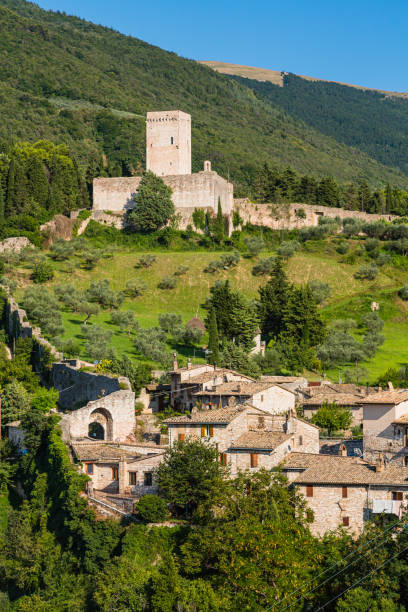 istock Rocca Maggiore in Assisi, Italy 1686242980