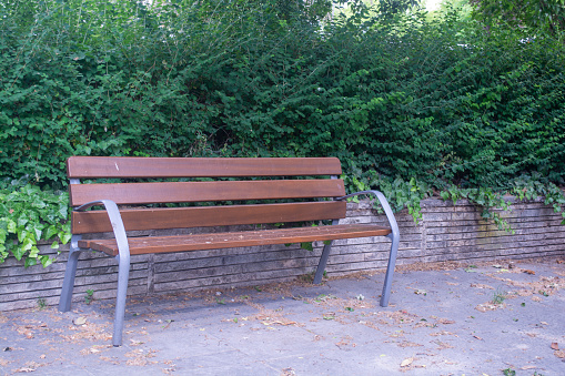 Brown bench in the city park on Margit Island. Hungary Budapest National Park Recreation Bench