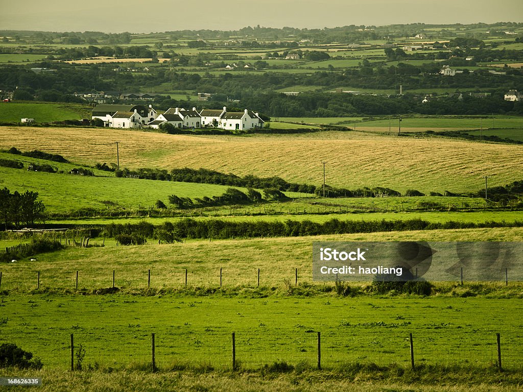 Irlandzkiej farmy - Zbiór zdjęć royalty-free (Bez ludzi)
