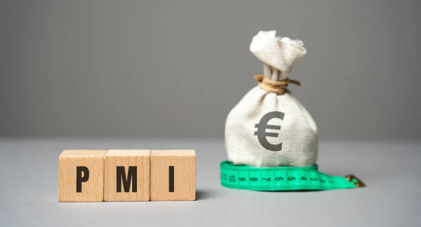 istock PMI on a blocks concept - Purchasing Managers' Index. Economic indicators derived from monthly surveys of private companies. Business assessments and finance concept. PMI Project Management Institute 1686264088