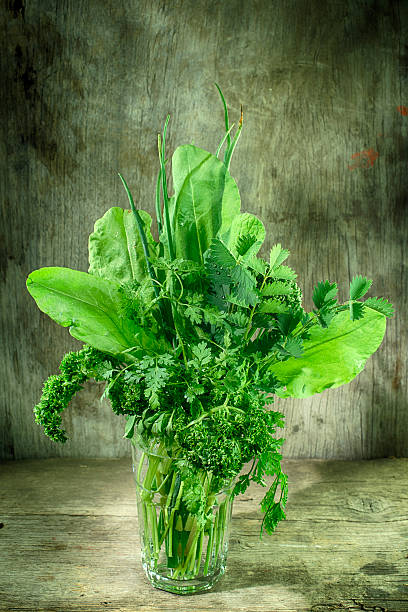 składniki frankfurter gruene sosse frankfurt - parsley chive sorrel borage zdjęcia i obrazy z banku zdjęć