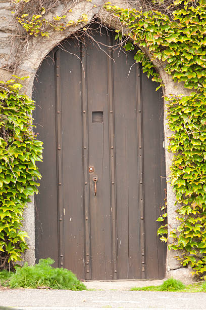 istock Old door set in a wall with ivy growth 168629389