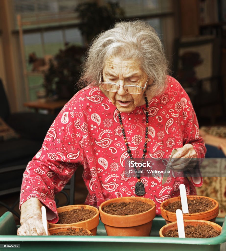 Personnes âgées femme planter des plantes - Photo de Jardiner libre de droits