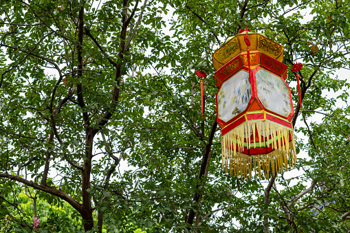 traditional Chinese lanterns hanging on a tree
