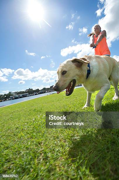 Ragazza A Piedi Un Cane Nel Parco - Fotografie stock e altre immagini di Ragazze adolescenti - Ragazze adolescenti, Cane, Jogging