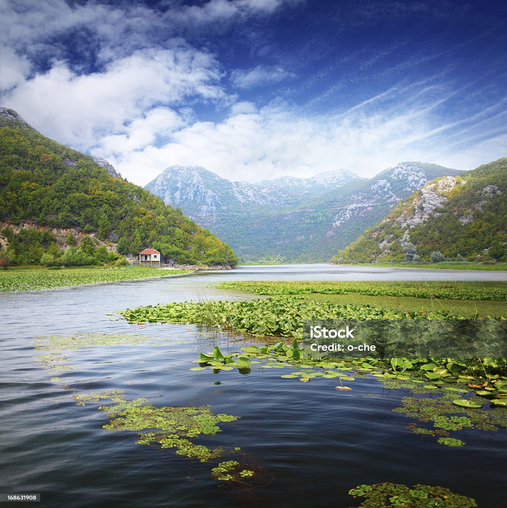 Mountain lake mit Wasserlilien Plantagen - Lizenzfrei Europa - Kontinent Stock-Foto