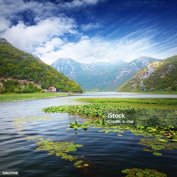 Mountain Lake Z Wodą Liliowate Plantacji - zdjęcia stockowe i więcej obrazów Europa - Lokalizacja geograficzna - Europa - Lokalizacja geograficzna, Krajobraz, Bez ludzi