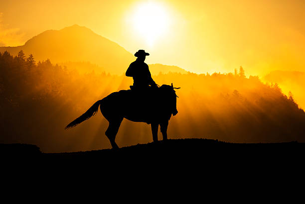 cowboy para cabalgatas en las montañas - berglandschaft fotografías e imágenes de stock