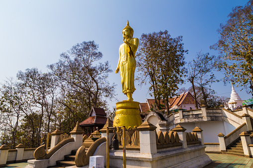 Big golden buddha statue stand on mountain look to city blue sky background