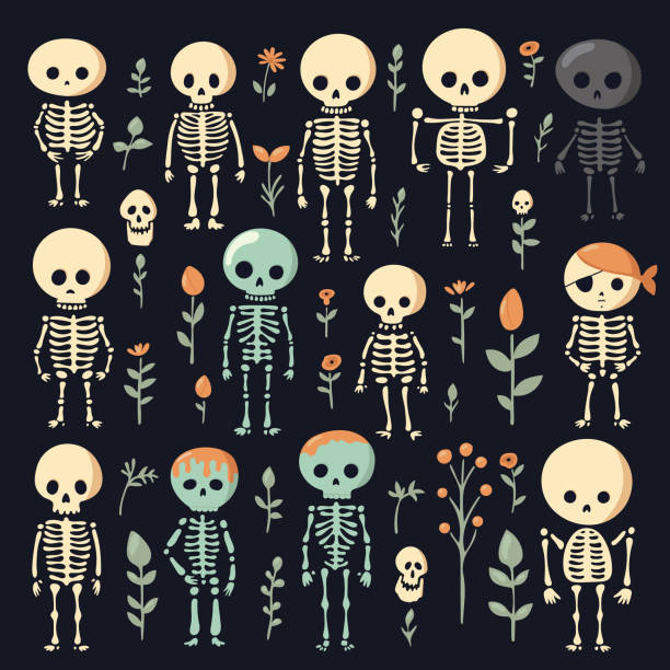 ilustrações de stock, clip art, desenhos animados e ícones de vector illustration of a cute cartoon skeletons. halloween skeletons set. the day of the dead. - lumbar vertebra