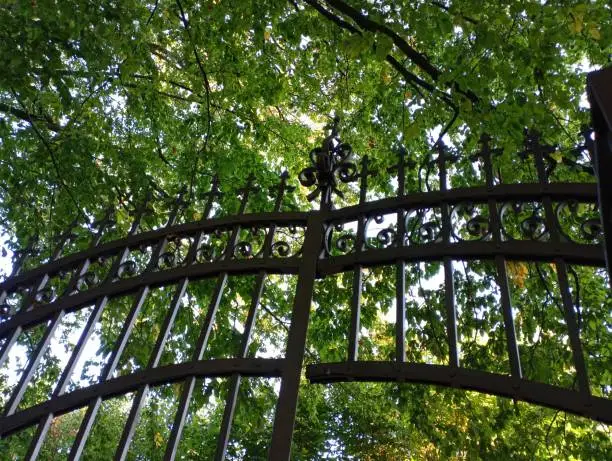 Photo of Old wrought iron fence in the park. A heavy metal gate made of fittings that has historical value.