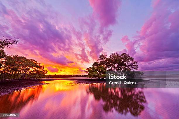 Australian Dreamscape Stock Photo - Download Image Now - Australia, Multi Colored, Mangrove Tree