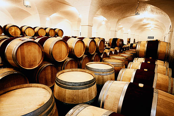 istock Annual grape harvest maturing into vintage wine in cellar 168635554