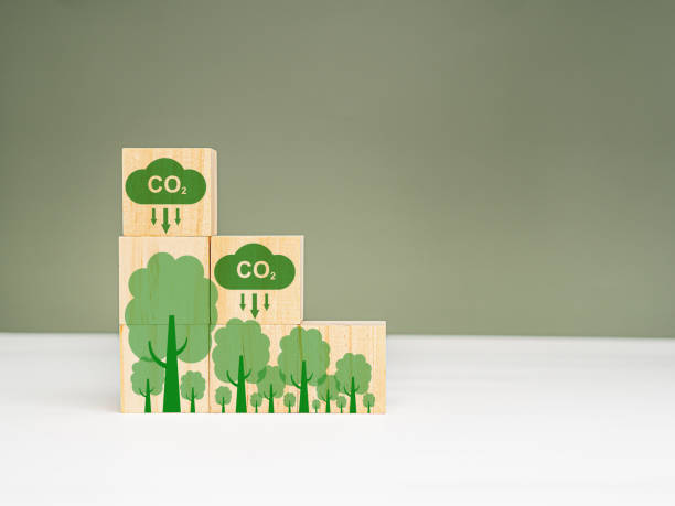 istock Net-Zero carbon emissions by 2050. Wooden cubes with CO2 and green tree icons 1686381396